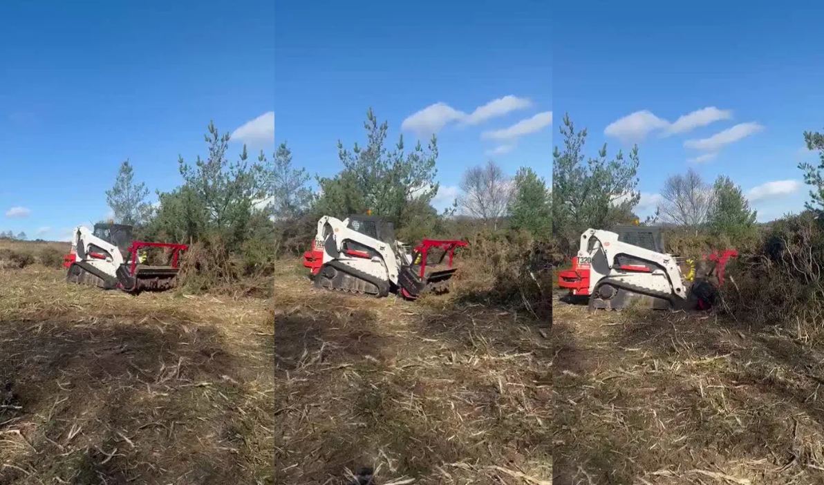 Forestry, Timber & Firewood Services | Three Counties Woodland Management