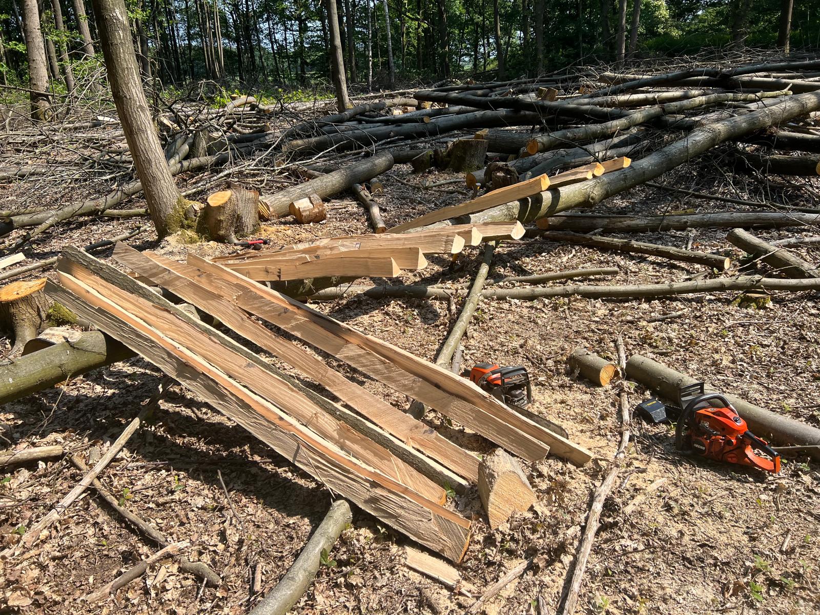 Cleft oak rails and chainsaws laid out in a woodland clearing